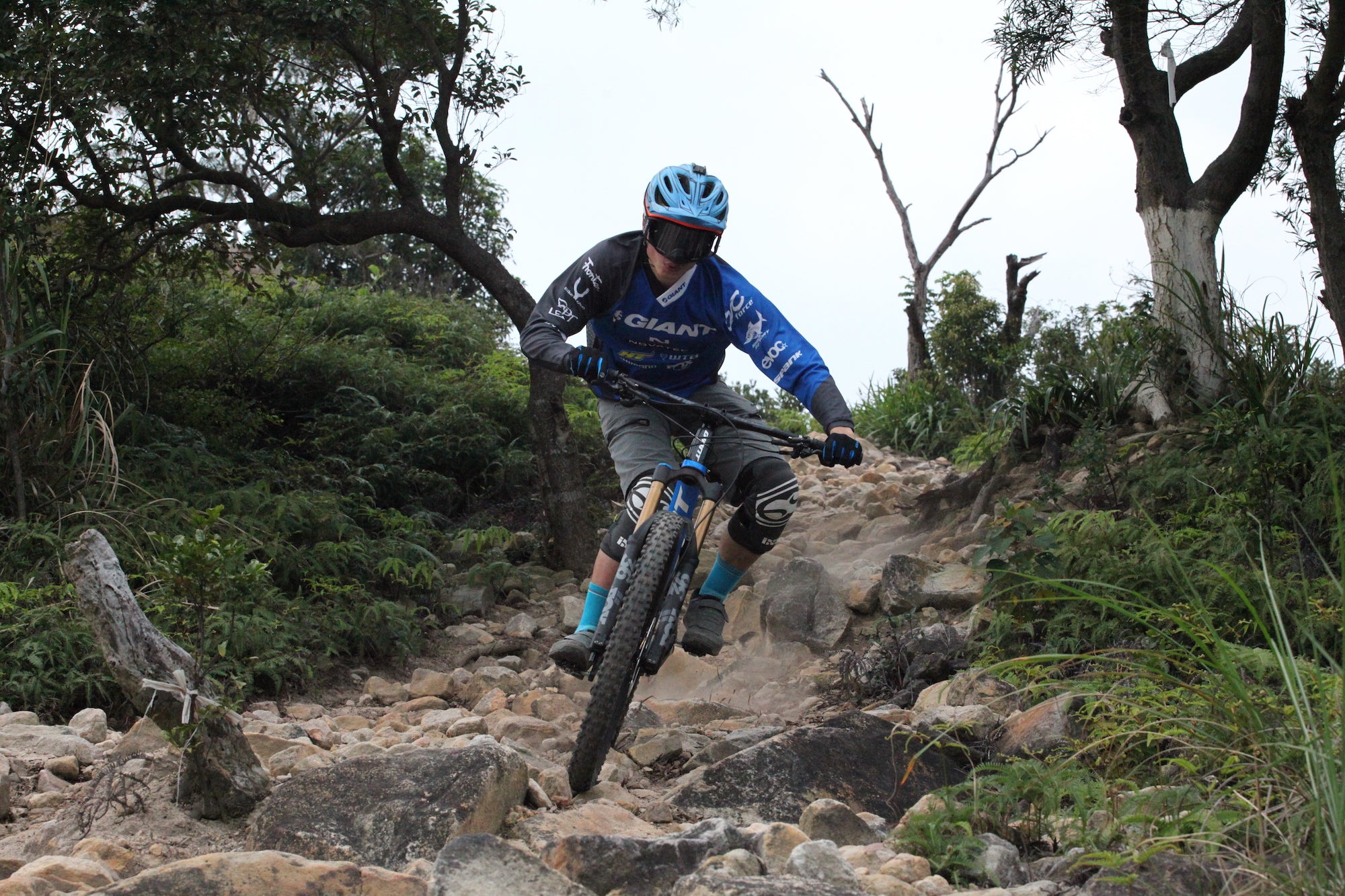 Dan Chiang photo 1