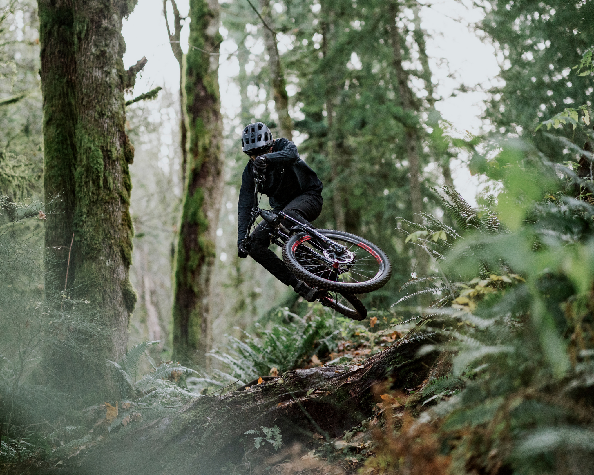 Mike Giese photo 2