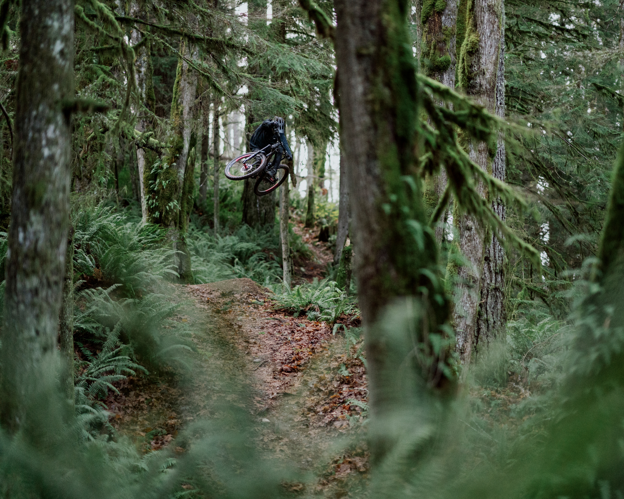 Mike Giese photo 4